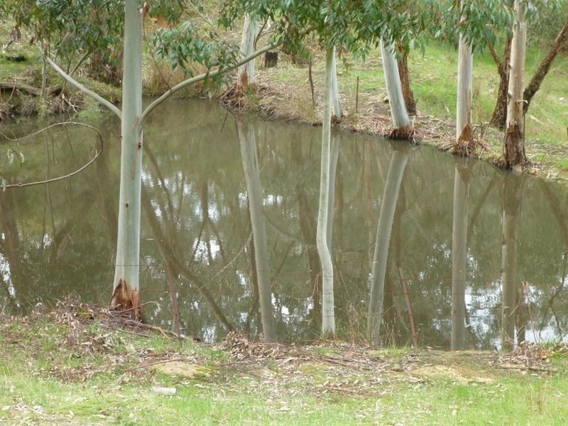 Lot 1 Illert Road, Mylor SA 5153