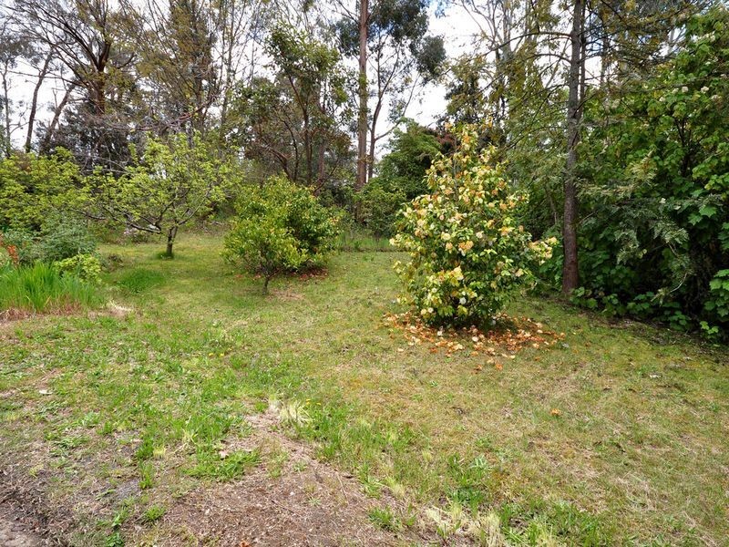 5 Ash Grove, Stirling SA 5152