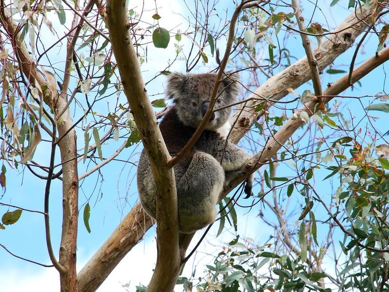 298 Pole Road, Ironbank SA 5153