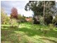 11 Pine Street, Stirling SA 5152
