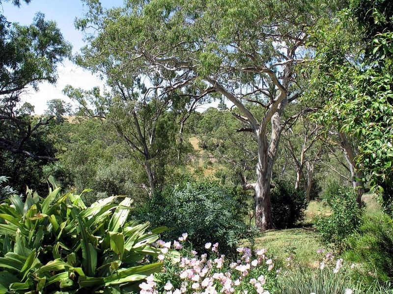 Lot 19 Main Road, Chandlers Hill SA 5159