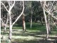 RSD 2024 Longwood Rd, Longwood SA 5153