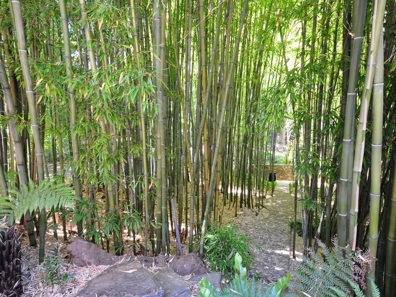 15 Longwood Road, Stirling SA 5152