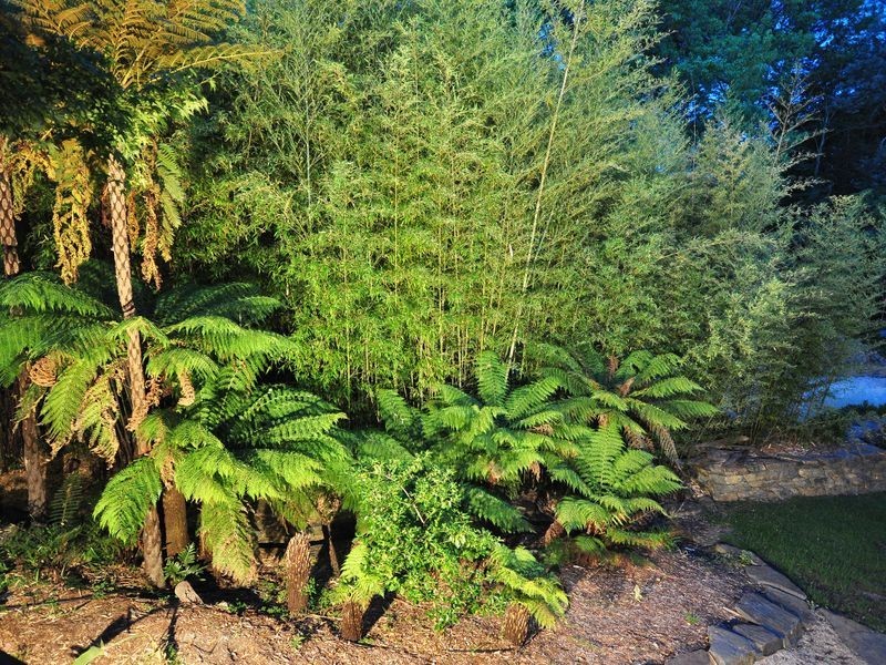 15 Longwood Road, Stirling SA 5152