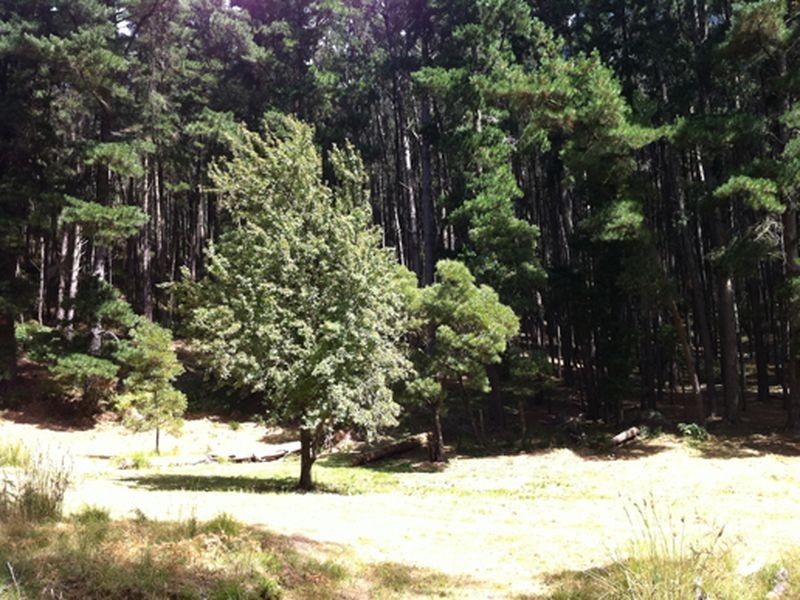 Lt 23 Mt George Rd, Bridgewater SA 5155