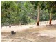 Lot 2 Ilunga Drive, Scott Creek SA 5153