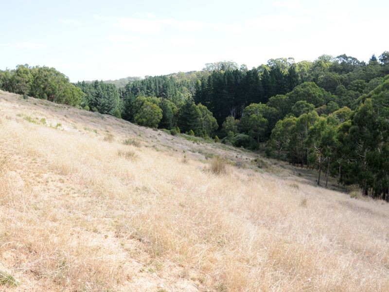 Lot 2 Ilunga Drive, Scott Creek SA 5153