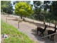 Lot 2 Ilunga Drive, Scott Creek SA 5153