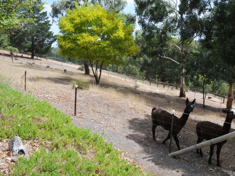 Lot 2 Ilunga Drive, Scott Creek SA 5153