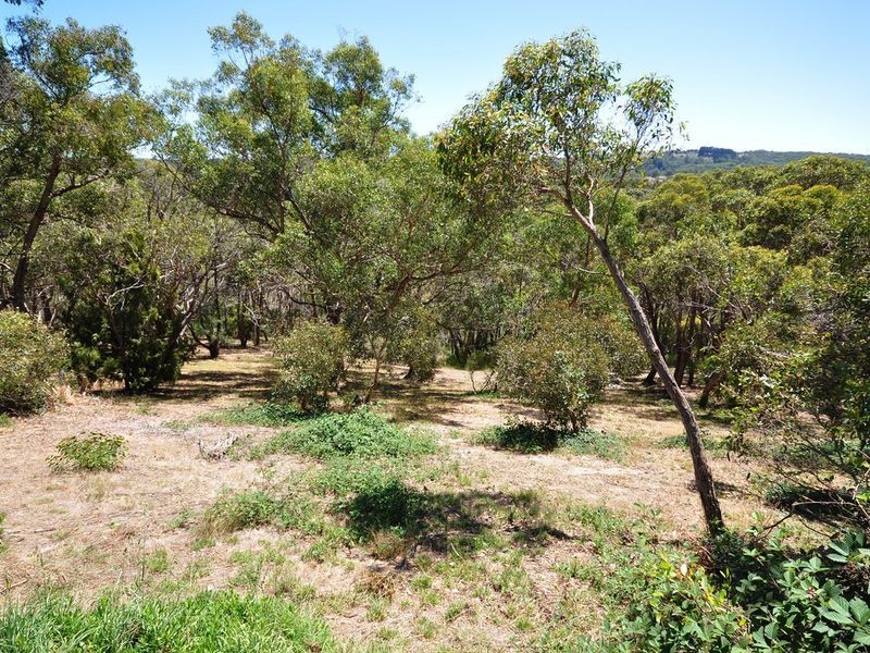 Lot 95 Nicholls Road, Scott Creek SA 5153