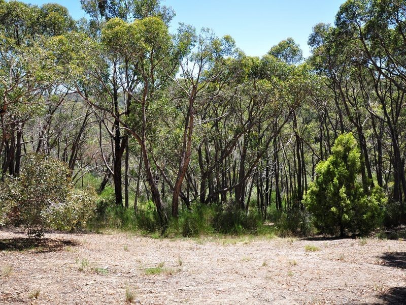 Lot 95 Nicholls Road, Scott Creek SA 5153