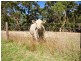 76A Scott Creek Road, Scott Creek SA 5153