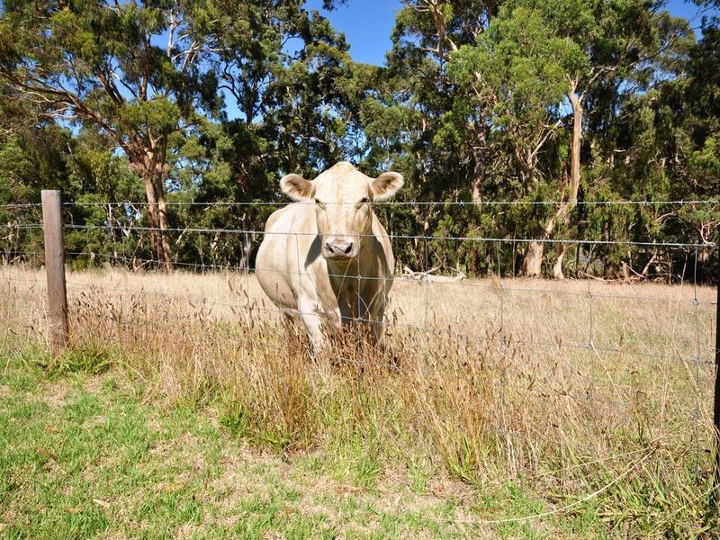 76A Scott Creek Road, Scott Creek SA 5153