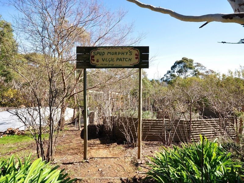 Lot 95 Olave Hill Road, Hawthorndene SA 5051