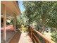 8 Heather Drive, Coromandel Valley SA 5051