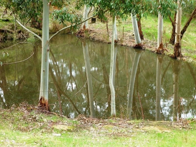 Lot 1 Illert Road, Mylor SA 5153