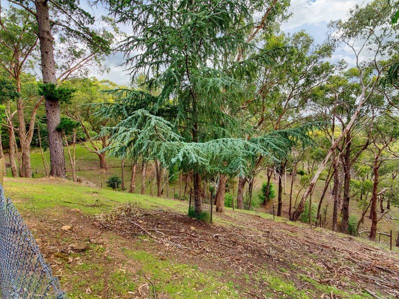 37 Hill Street, Crafers West SA 5152