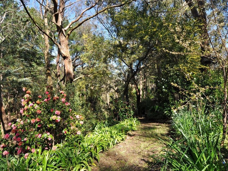 8 Cherry Pine Place, Aldgate SA 5154