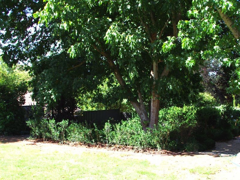 11 Charlton Street, Bridgewater SA 5155