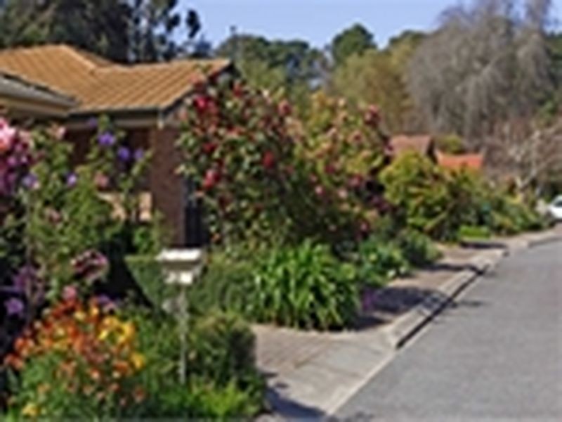 24 Mabel Street, Stirling SA 5152