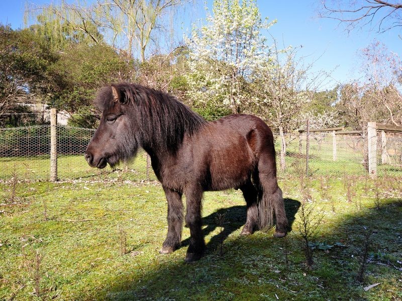 4 Nioka Drive, Ironbank SA 5153