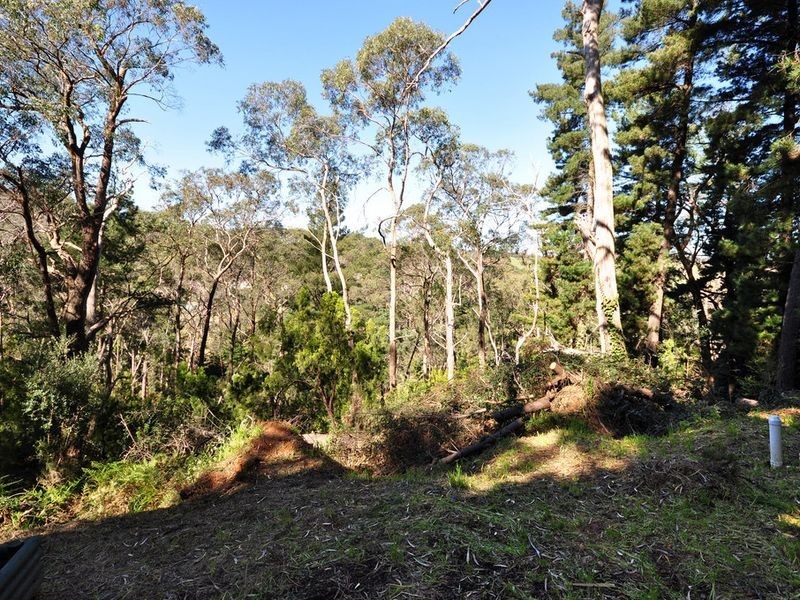 103 Upper Sturt Road, Upper Sturt SA 5156