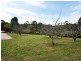 10 Nioka Drive, Ironbank SA 5153