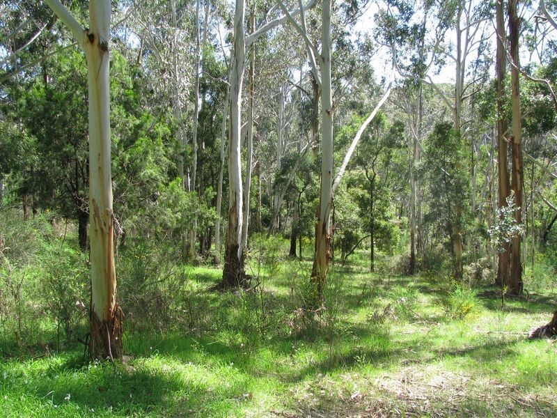 Arbury Park Road, Bridgewater SA 5155