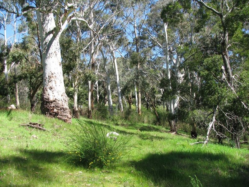 Arbury Park Road, Bridgewater SA 5155