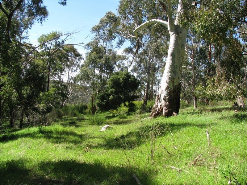 Arbury Park Road, Bridgewater SA 5155