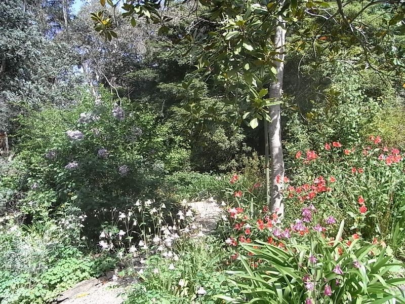 6 St Margaret Drive, Aldgate SA 5154