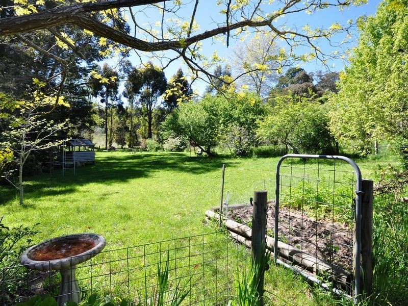 11 Pine Street, Stirling SA 5152