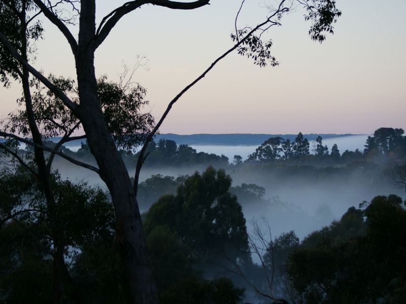 451 Longwood Road, Longwood SA 5153