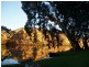 3007 Purnong Road, Caurnamont SA 5238