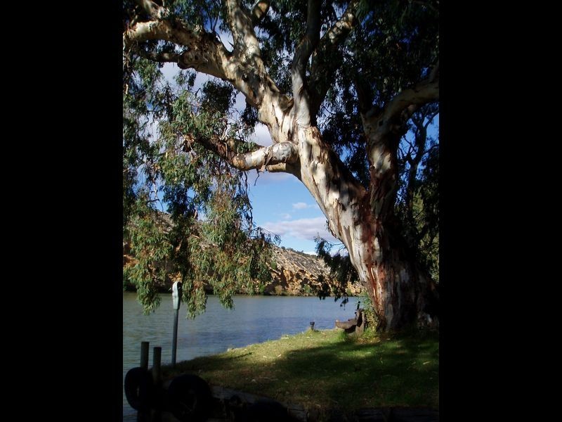 3007 Purnong Road, Caurnamont SA 5238