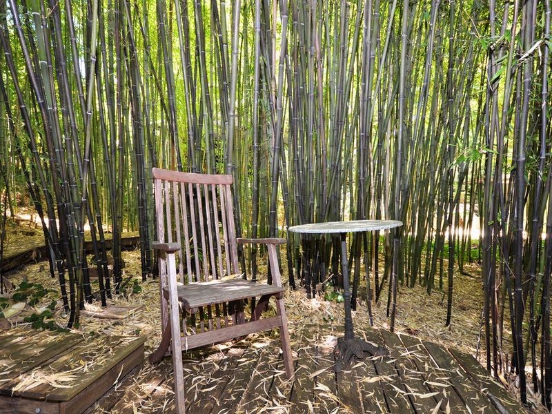 15 Longwood Road, Stirling SA 5152