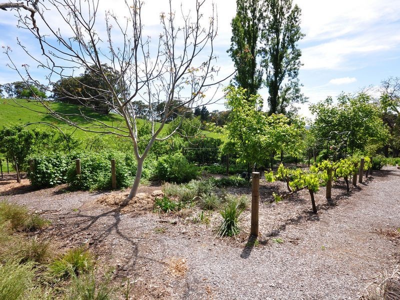 1025 Greenhill Road, Summertown SA 5141