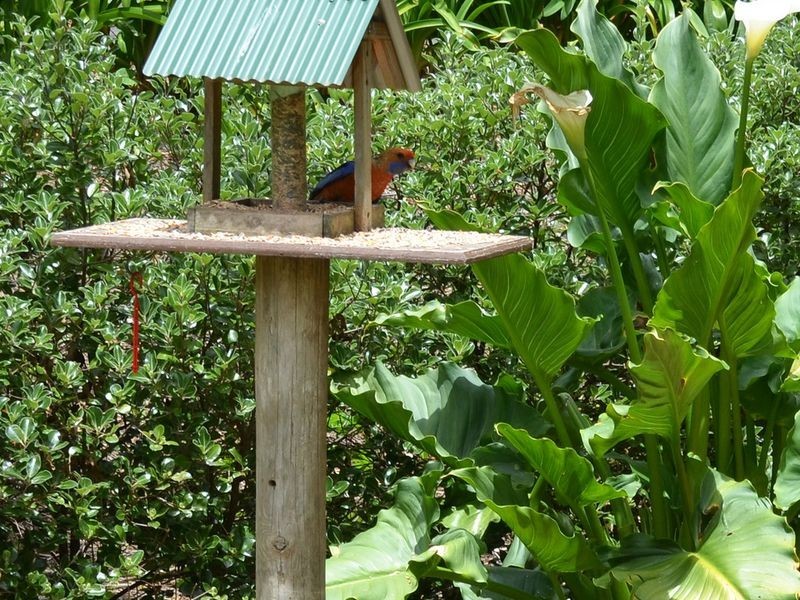 9 Wycombe Road, Aldgate SA 5154