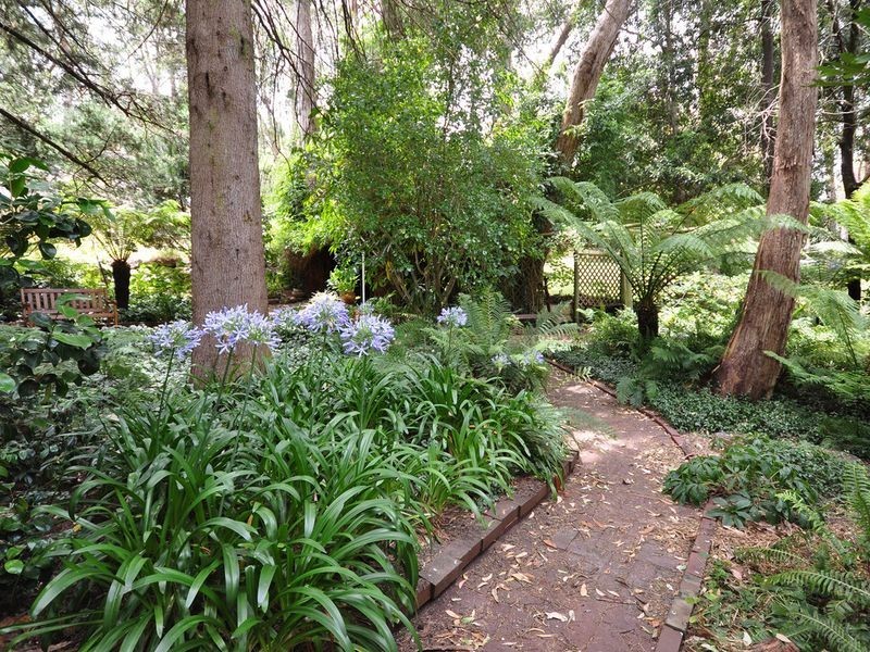 10 Ti Tree Road, Stirling SA 5152