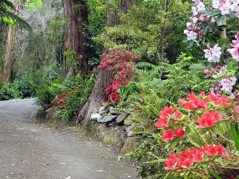 10 Ti Tree Road, Stirling SA 5152