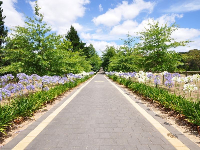 20 Cichon Road, Bridgewater SA 5155