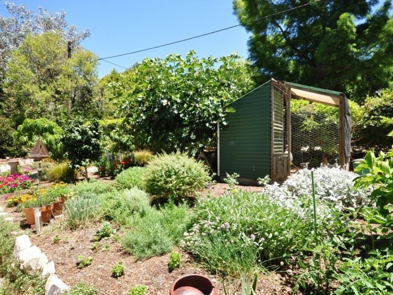 20 Tingaling Grove, Stirling SA 5152