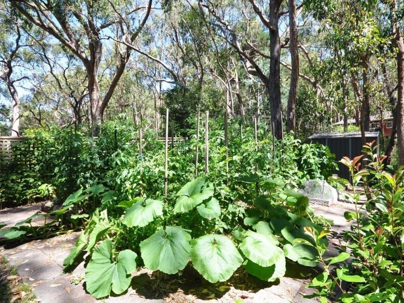 35 Wilpena Terrace, Aldgate SA 5154