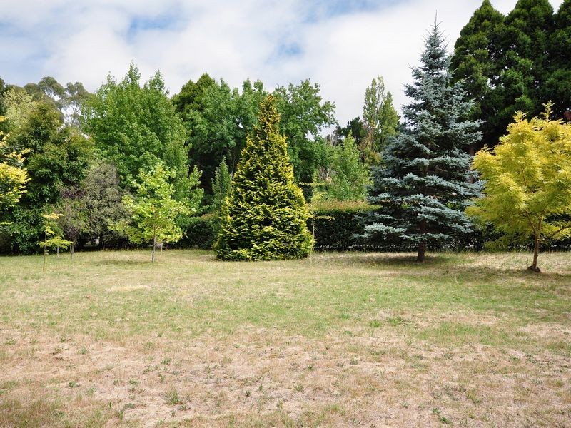 64 Pomona Road, Stirling SA 5152