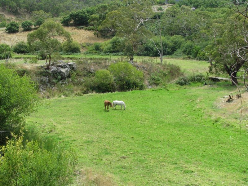 813 Scott Creek Road, Scott Creek SA 5153