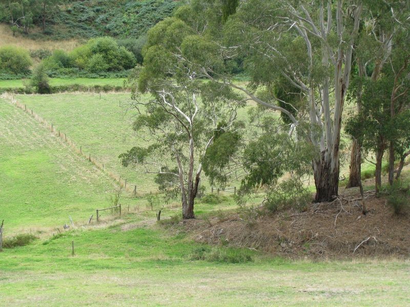 813 Scott Creek Road, Scott Creek SA 5153