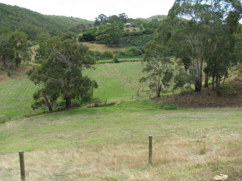 813 Scott Creek Road, Scott Creek SA 5153