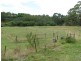 813 Scott Creek Road, Scott Creek SA 5153