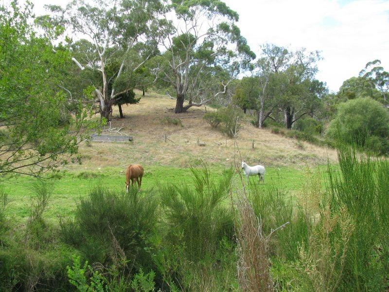 813 Scott Creek Road, Scott Creek SA 5153