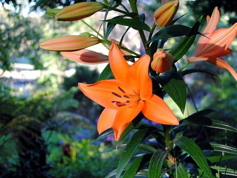 82 Tanahmerah Road, Balhannah SA 5242